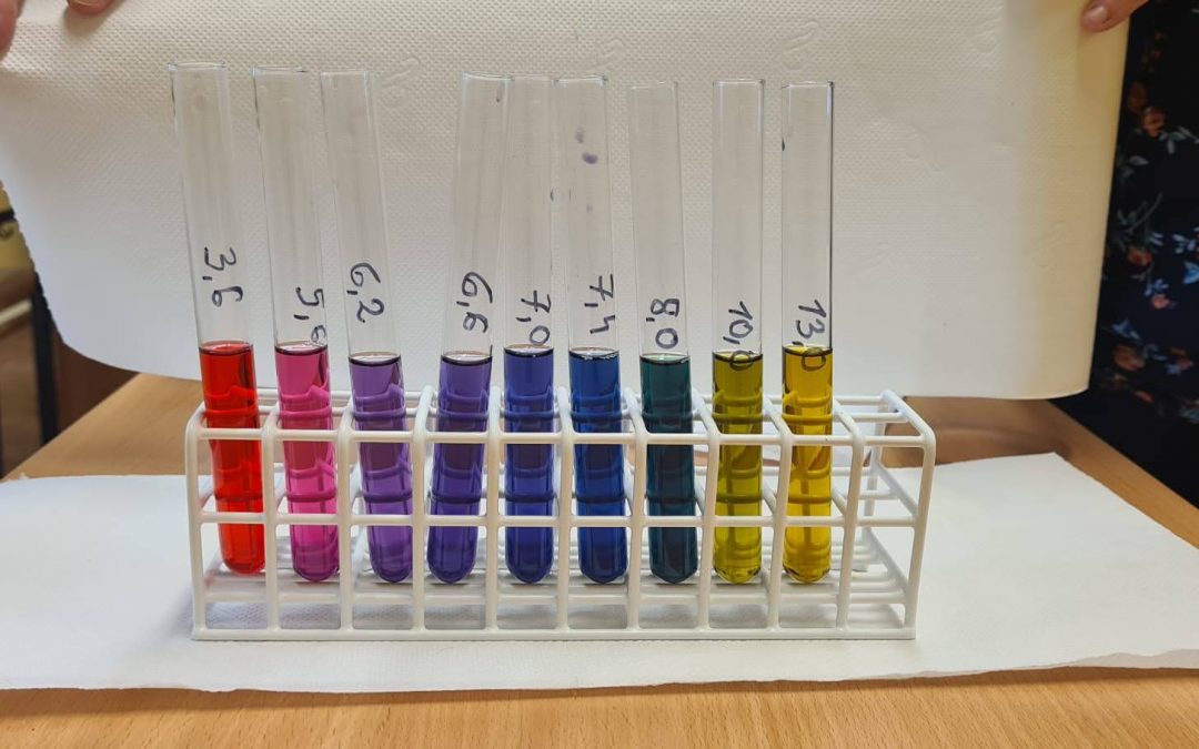 Zajęcia z biologii w ramach Małopolskiej Chmury Edukacyjnej III