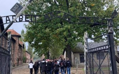 ŻYWA LEKCJA HISTORII W MUZEUM AUSCHWITZ –  BIRKENAU