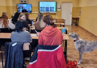 Zajęcia z chemii w ramach chmury edukacyjnej IV