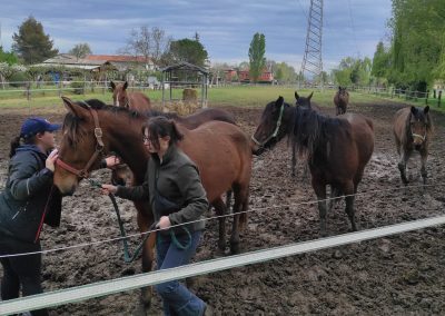 Uczniowie na praktykach zawodowych